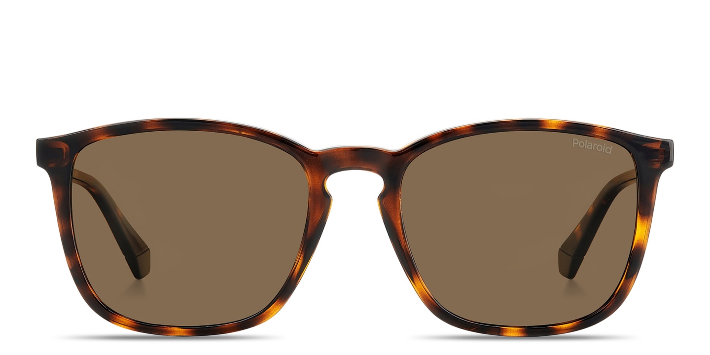Shop Polaroid Logo Lettering Square Sunglasses in Havana online.