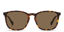 Shop Polaroid Logo Lettering Square Sunglasses in Havana online.