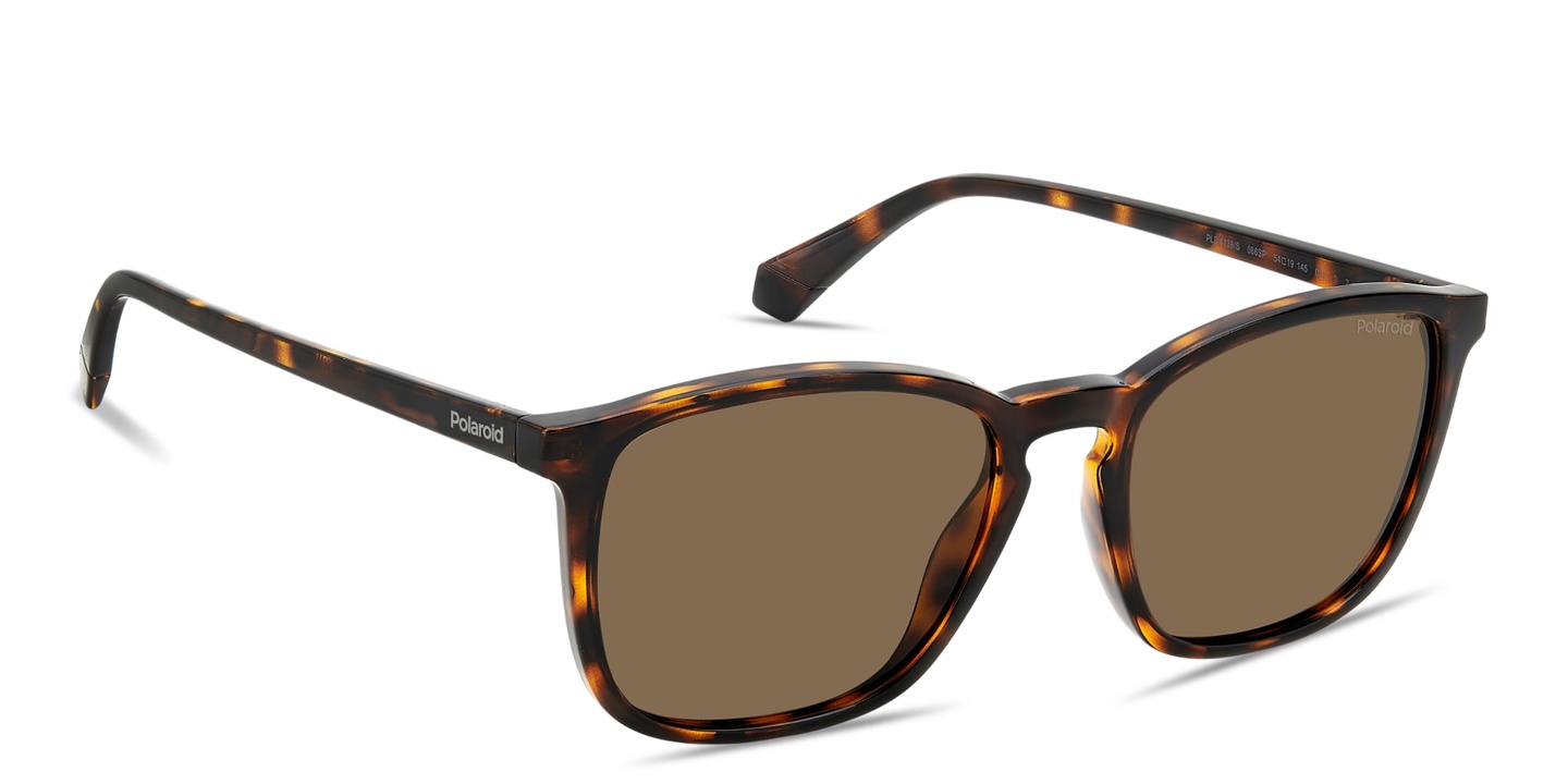 Shop Polaroid Logo Lettering Square Sunglasses in Havana online.