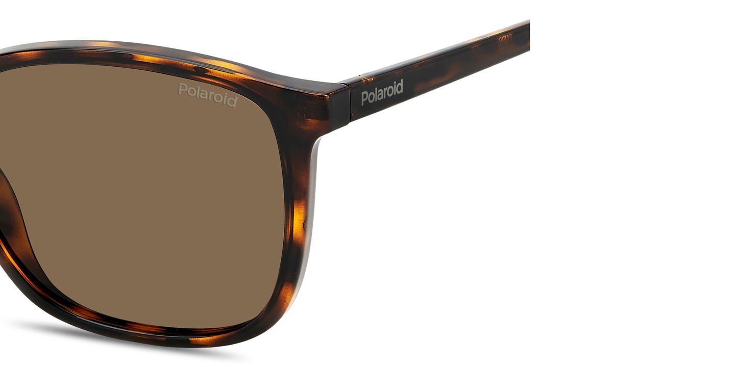 Shop Polaroid Logo Lettering Square Sunglasses in Havana online.